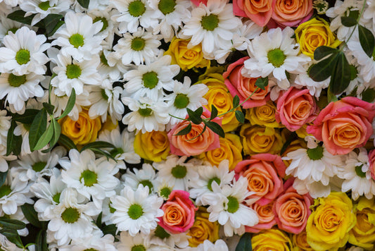 Como turbinar a floração das suas plantas com técnicas simples e naturais