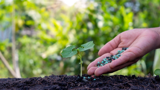 Adubo granulado ou líquido: qual escolher para seu jardim?